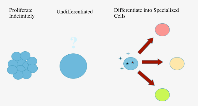 Screen Shot 2017-08-17 at 1.34.52 PM.png